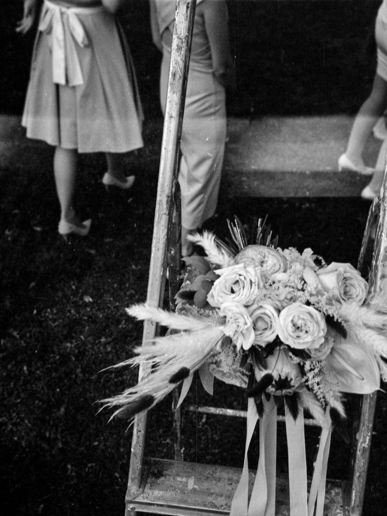 portret pana młodego